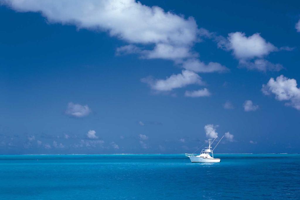 Appirian Chat Bot for Salesforce.com and Google Apps