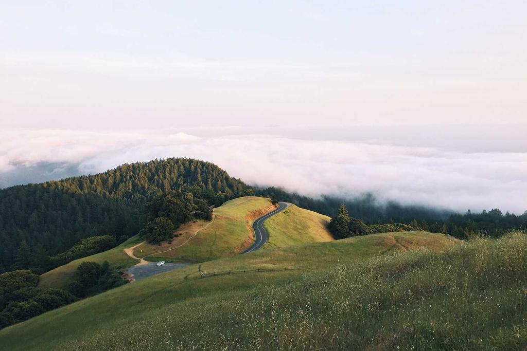 Attend Dreamforce 09 Hands-On Training