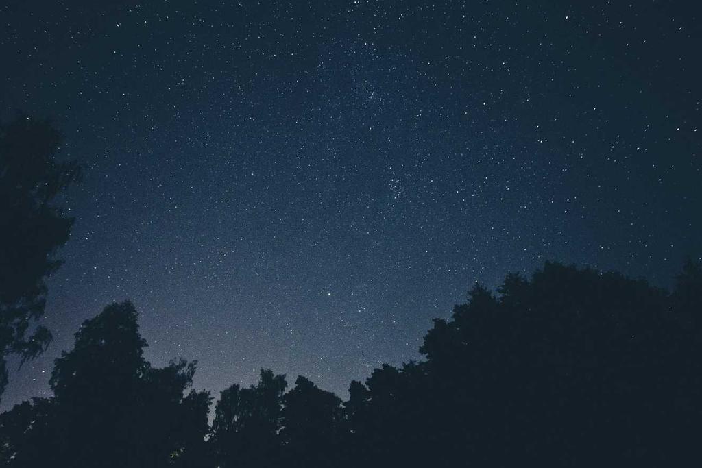 Developer Preview of the Adobe® Flash® Builder™ for Force.com