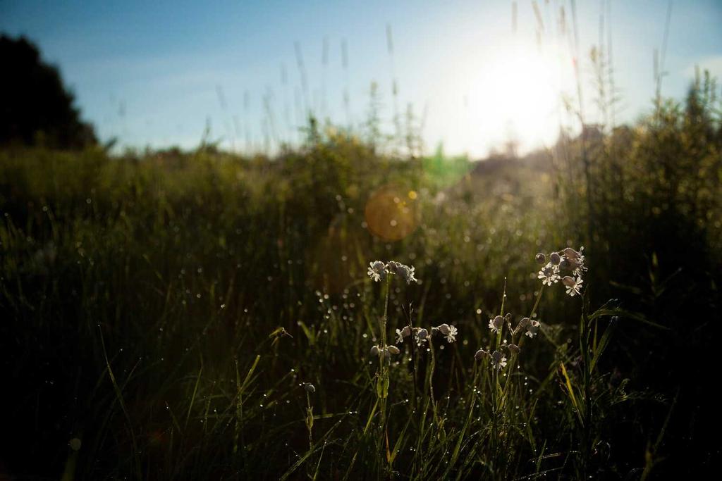 I'm Joining Appirio!