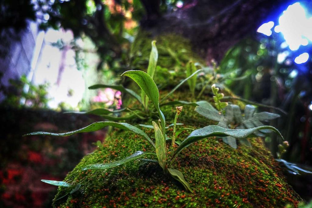 It's Official! Heroku Loves Java