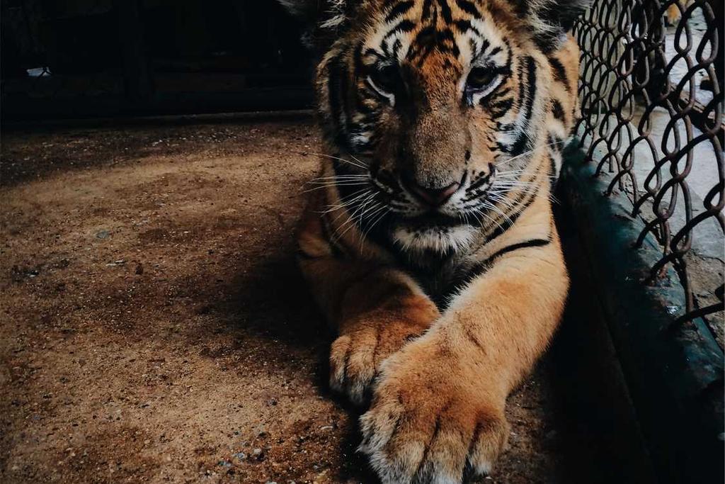 Officially on Vacation!