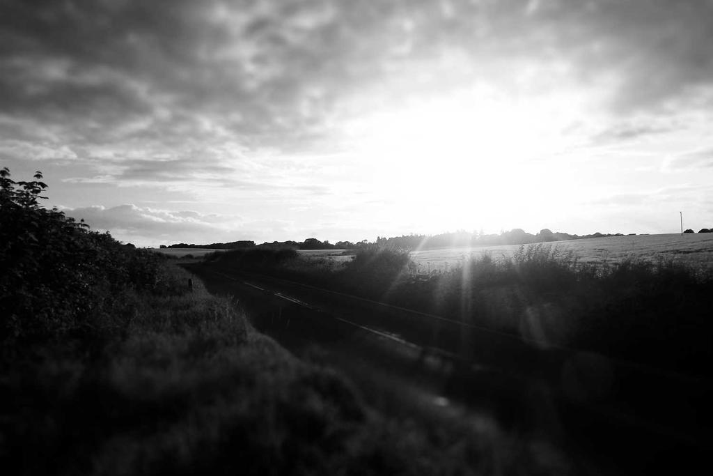 Salesforce.com Licenses