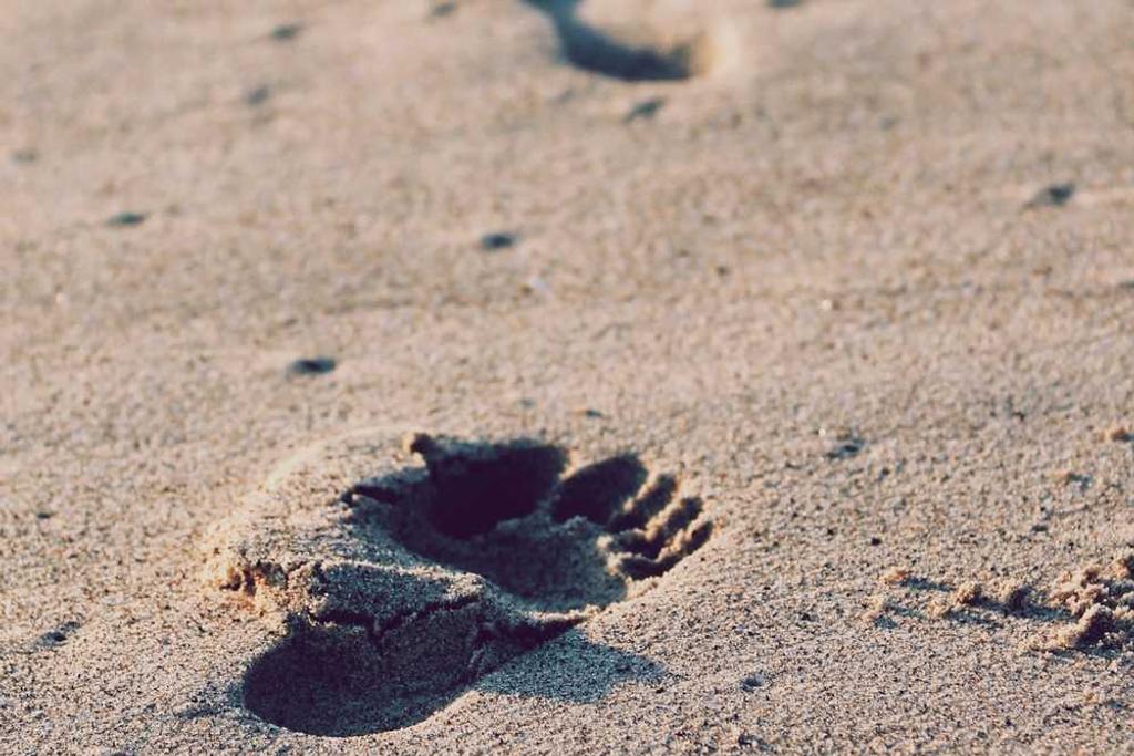 The Old Sailor and the Young Soldier