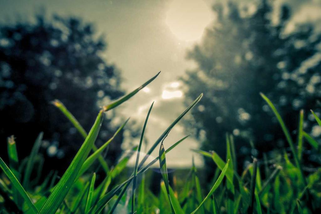 Informatica Data Loader